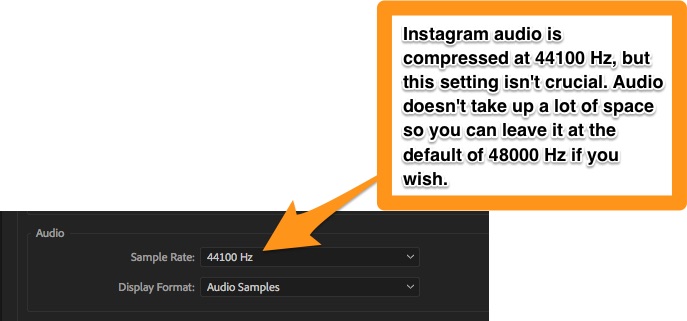 Adjust the audio settings if you wish, or just leave it at the default.