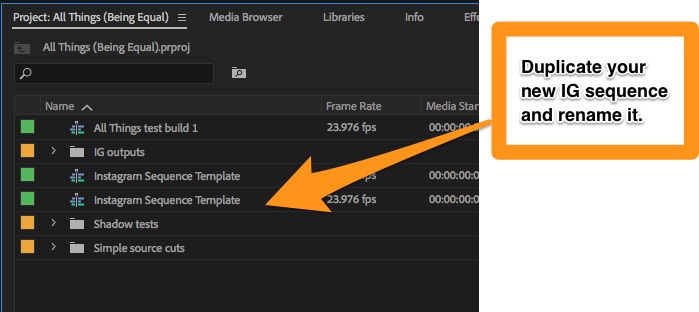Duplicate your IG template sequence and rename it.