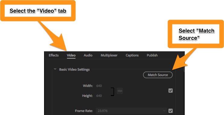 Go to the Video tab and select "Match Source."