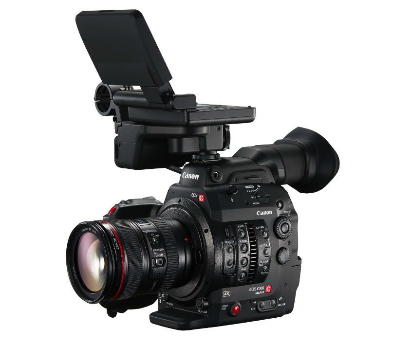 The Canon C300, in the $9000-15000 category, is popular with professional DPs.